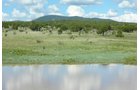 Property photo 24 - 7,320 Acres Offered in 5 Tracts